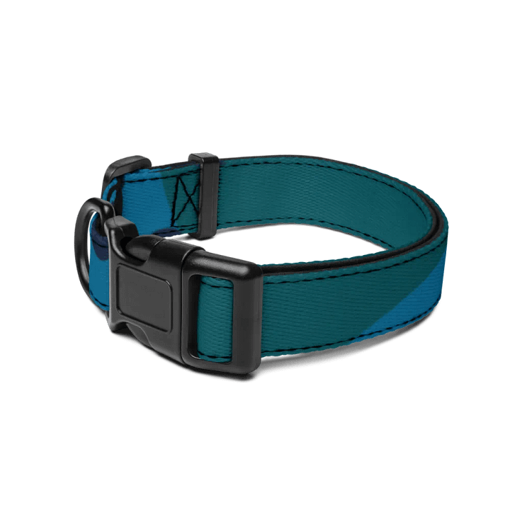 Nebula Glow Pet Collar product image (2)