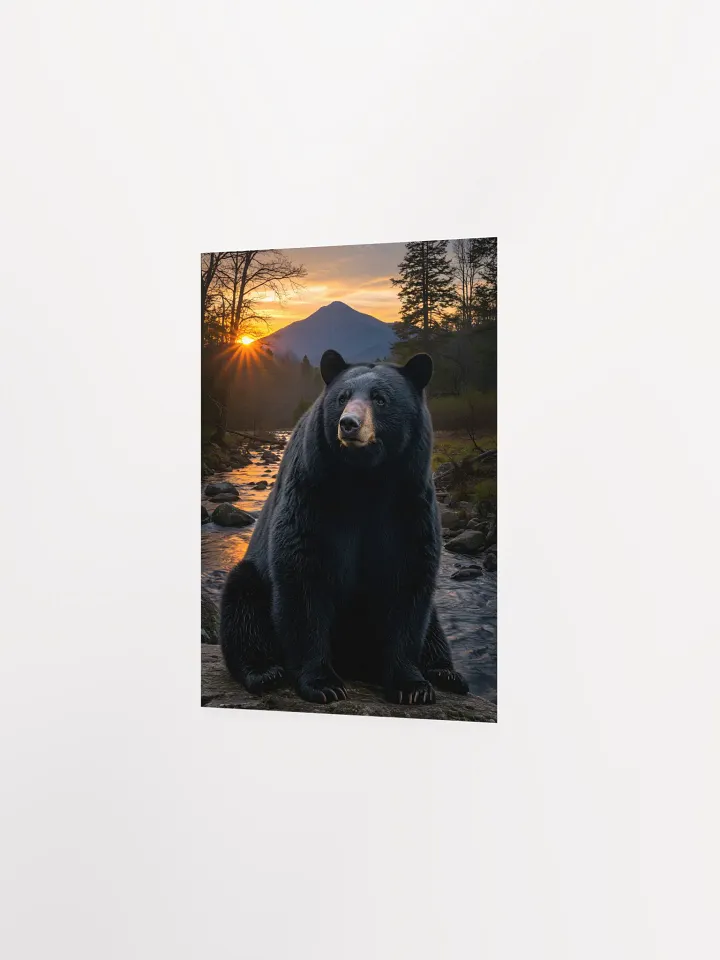 Black Bear: Mt. Le Conte's Guardian Poster product image (10)