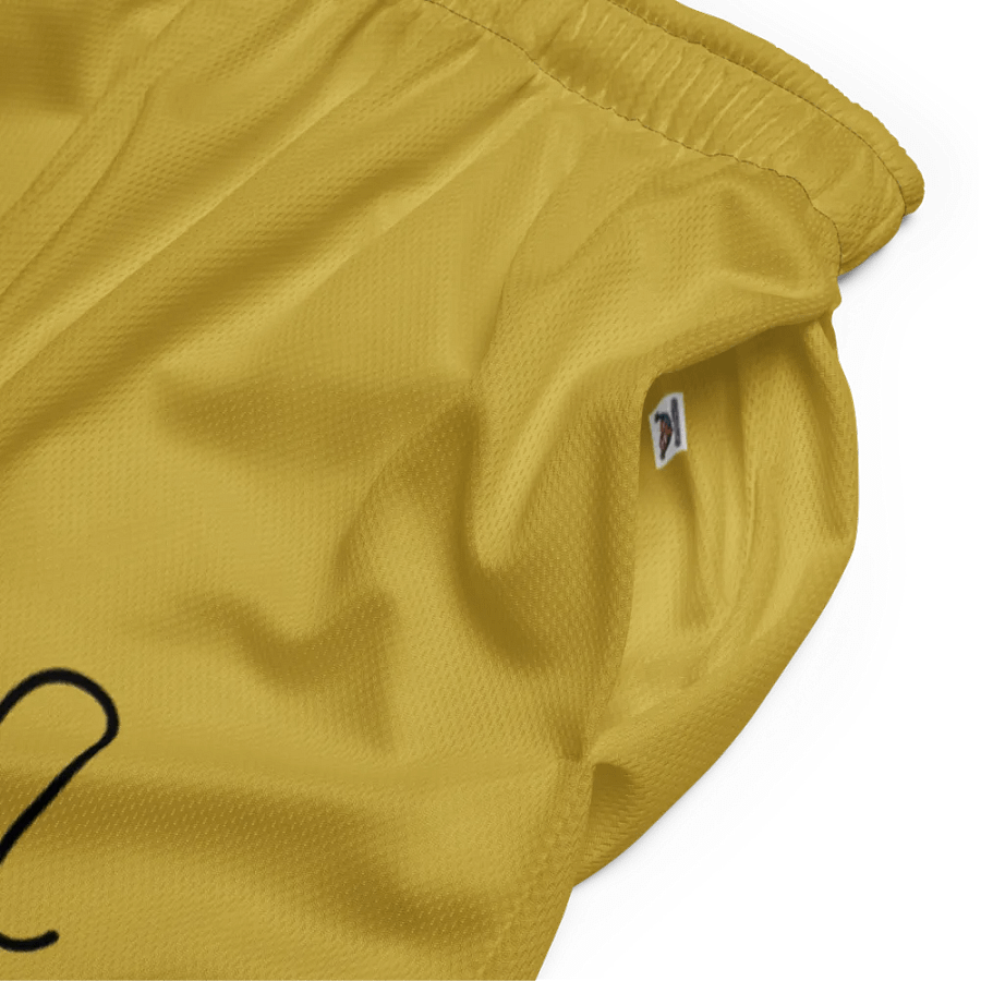 Leo Zodiac All-Over Print Mesh Shorts product image (5)