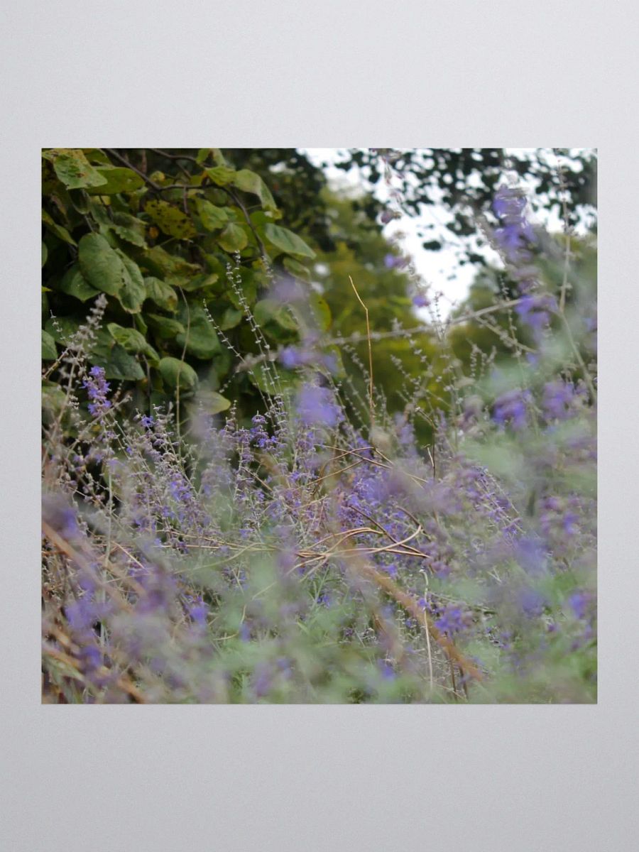 A Study in Flowers 16 - sticker version product image (1)