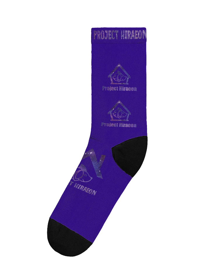 PROJECT HIRAEON SOCKS product image (1)