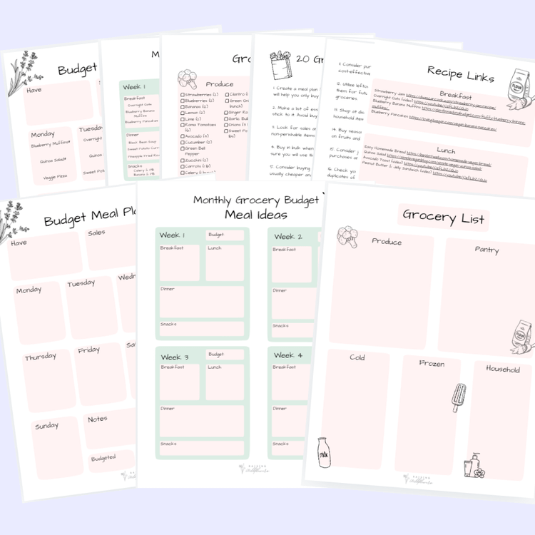 Budget Meal Plan product image (1)