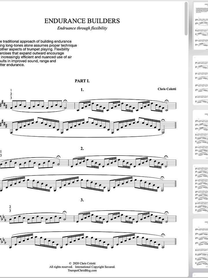 Endurance Builders - PARTS 1, 2 + 3 (8 pages) product image (1)