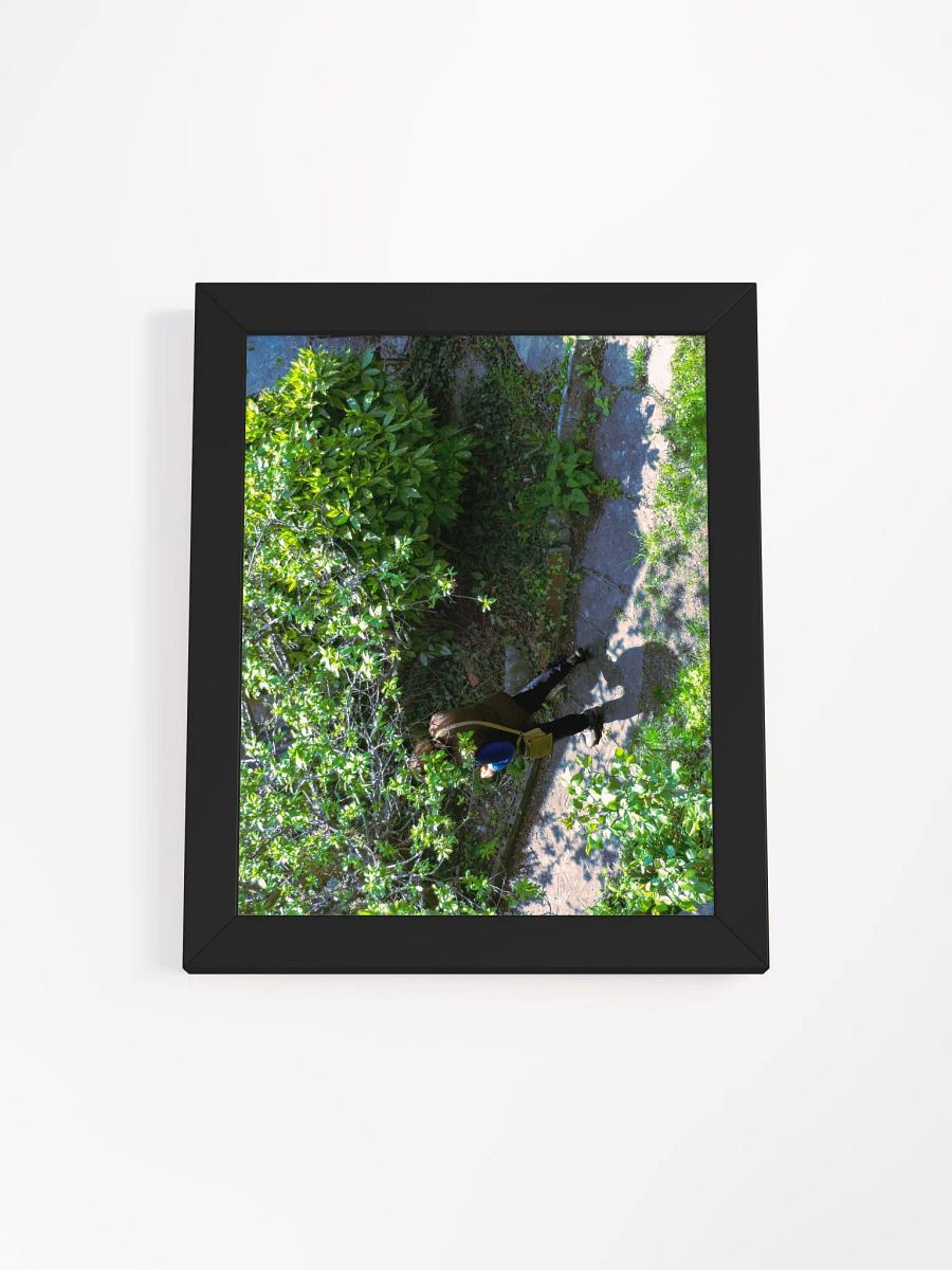 Enchanted Pathway Framed Matte Poster product image (70)