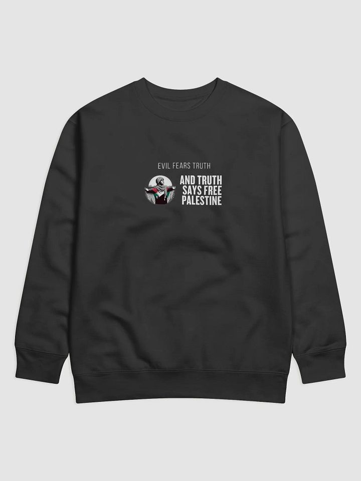Americana Comfort Premium Sweatshirt | Evil fears truth, and truth says: Free Palestine. product image (6)