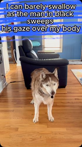 ❤️‍🔥🐉 it’s pet appreciation week!

So my dog wanted to read you another teaser from my WIP

What do you think?

#qotd — do yo...