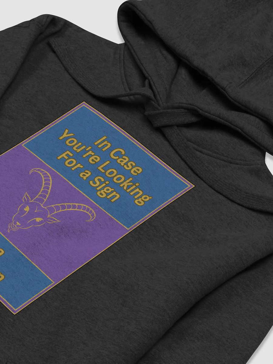 In Case You’re Looking For A Sign Capricorn Zodiac Sign Hoodie, Zodiac Sign Vibes Hoodie, Capricorn Hoodie, Astrological Hoodie product image (2)