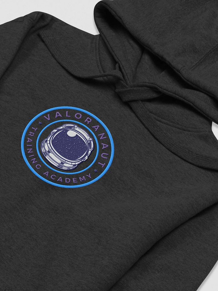 VTA Embroidered Hoodlum product image (1)
