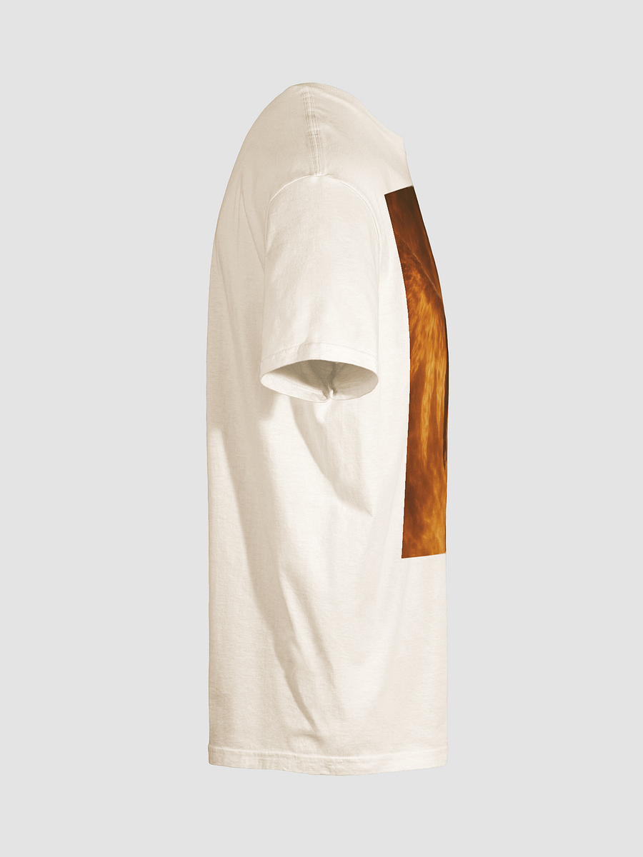 Wrath Worth product image (30)