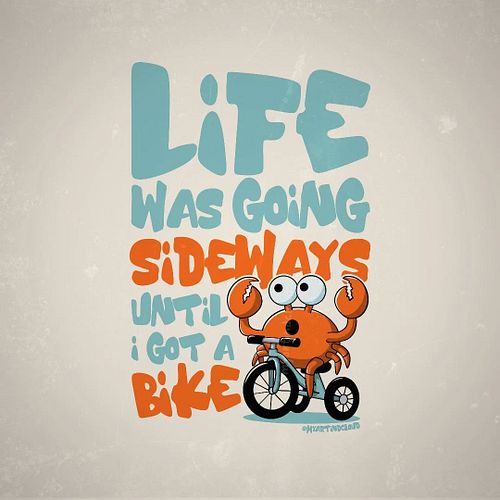 If you have been following along, I have been asking in my stories for suggestions of animals you’d like to see on a bike. Fo...