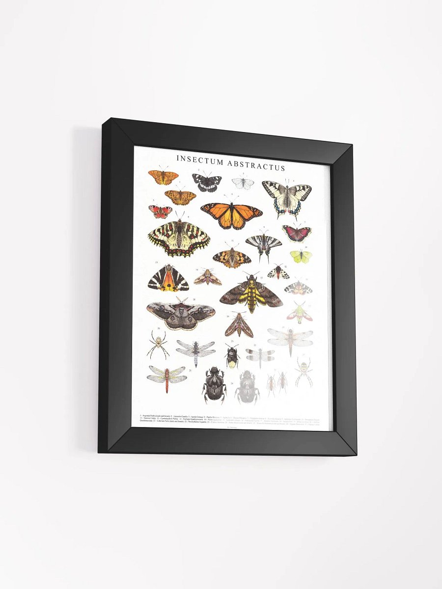 INSECTUM ABSTRACTUS - Framed Print product image (13)