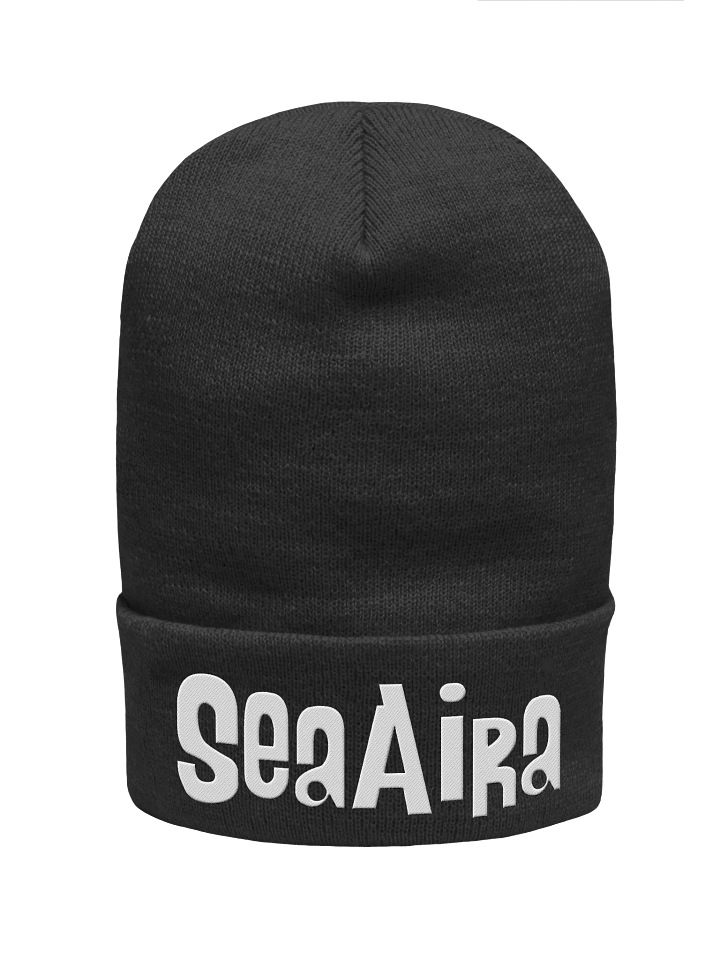 AHDN Logo Beanie product image (1)