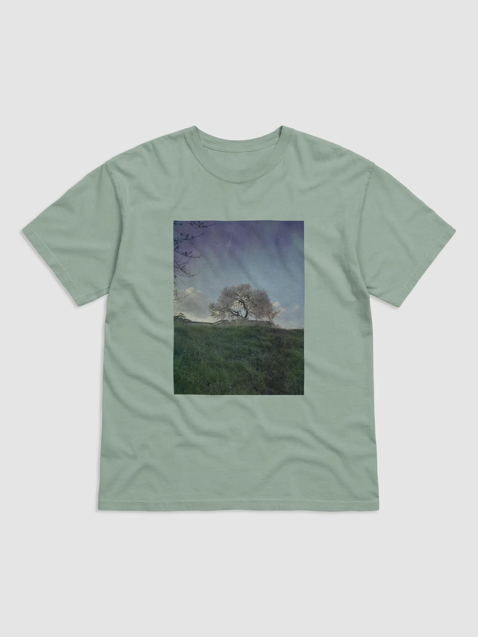 Summer product image (1)