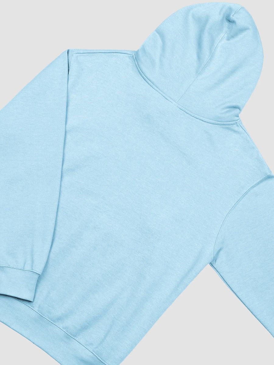 Upscale Love is Love Hoodie. product image (25)