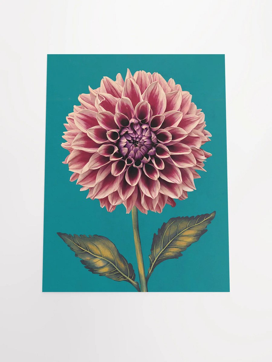 Dahlia Print product image (22)