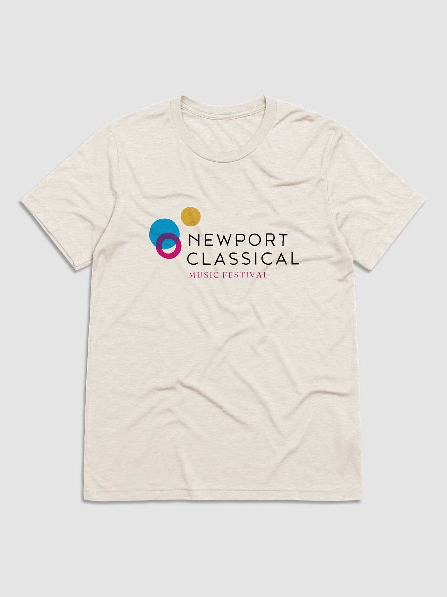 Festival T-Shirt product image (1)