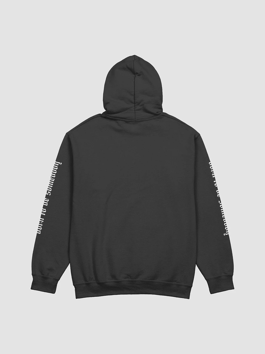 ZK Tour Hoodie product image (2)