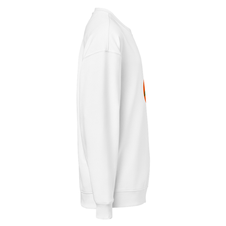 Bonsai Tree Organic Oversized Sweatshirt product image (4)