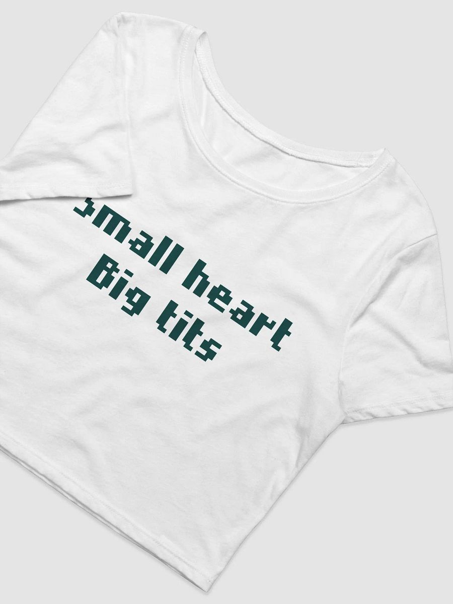 BIG TITS BABY TEE product image (3)