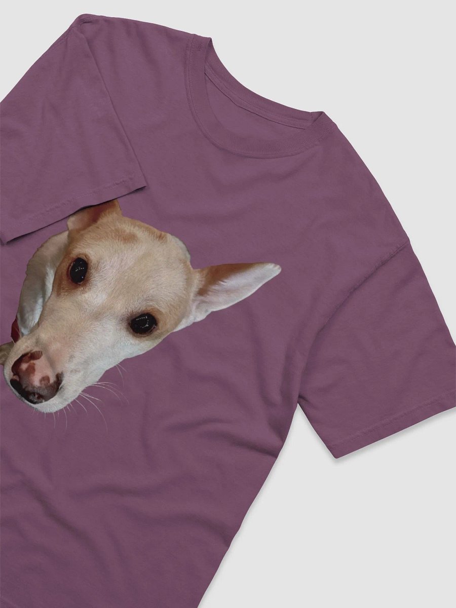 Finn crew neck shirt product image (30)