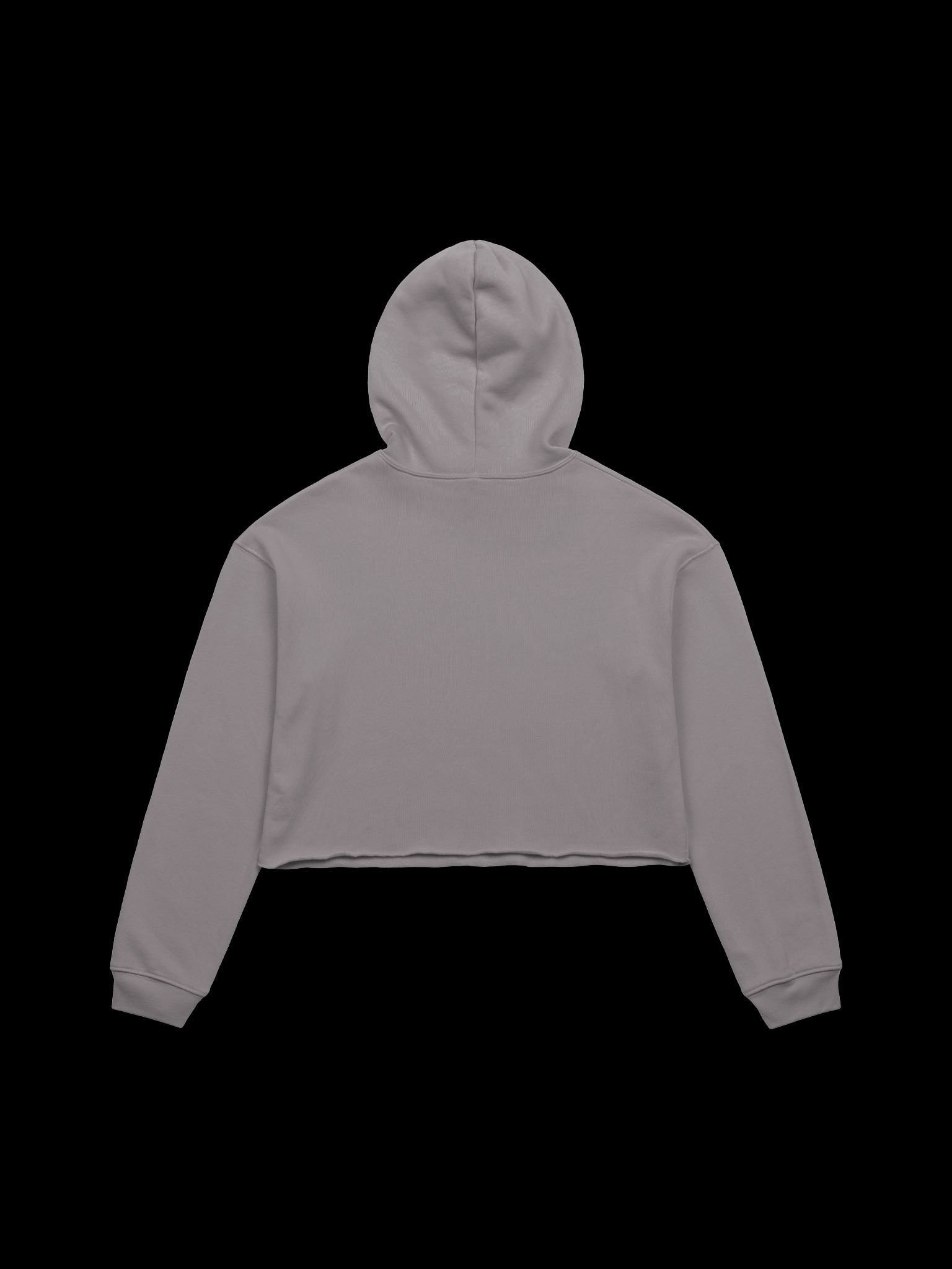 Let's Wrap This Up Coffin Crop Hoodie product image (12)