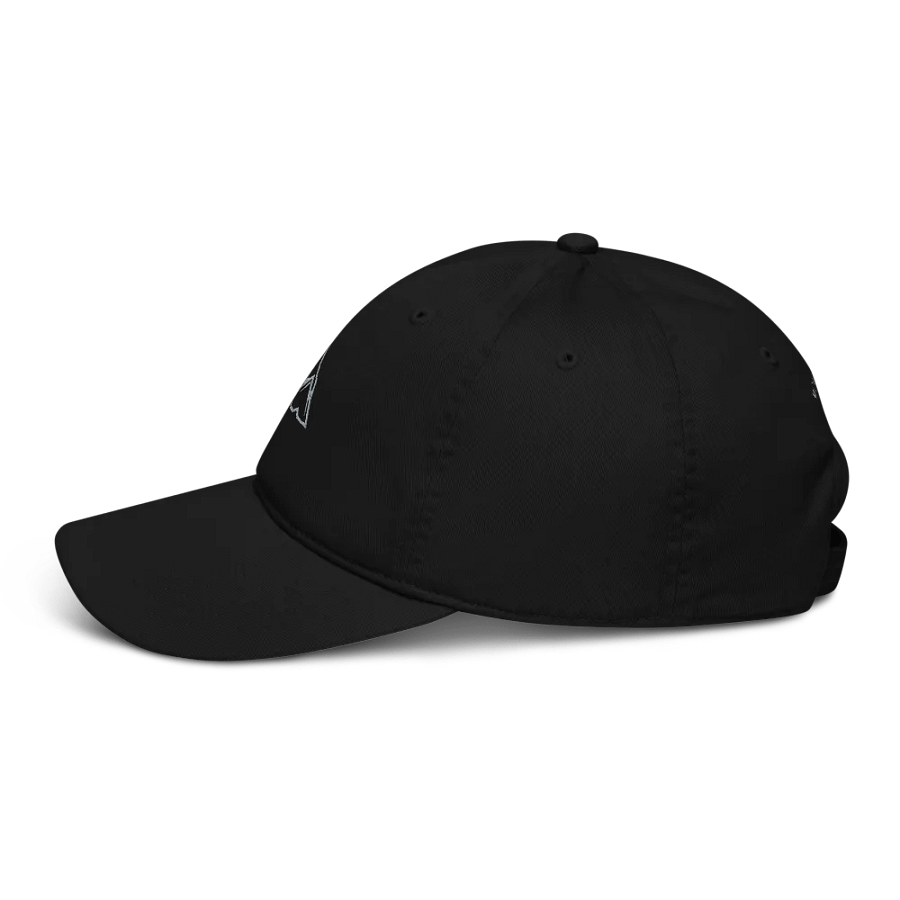MOMENTUM Organic Dad Hat product image (2)