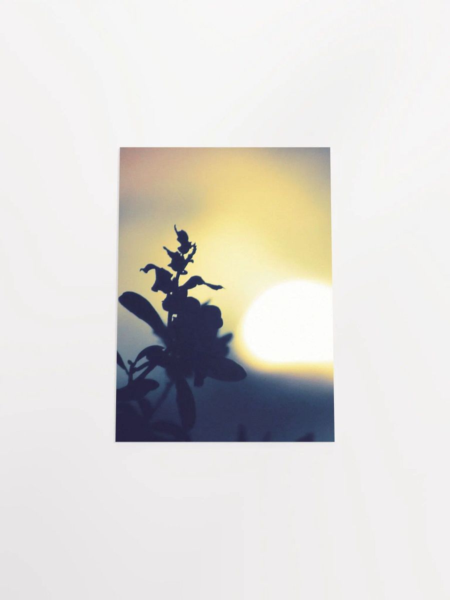 Yellow Plant Glow product image (49)
