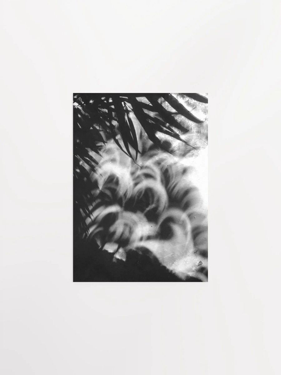 Crescents of Light from the Eclipse - Poster 3 product image (7)