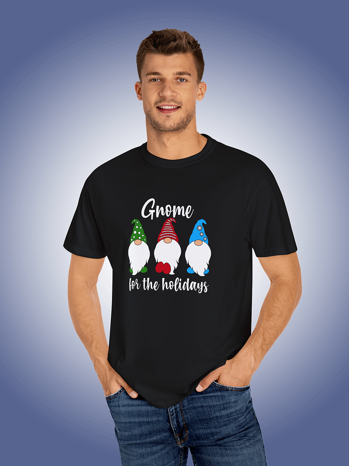 Gnome For The Holidays product image (1)