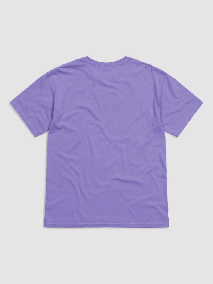 Tangled Blessings: Celestial House Soft T-Shirt (Black) product image (46)