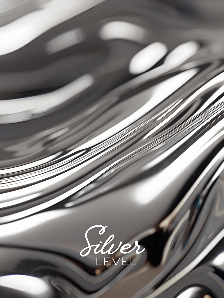 Silver Level - Sponsorship product image (1)