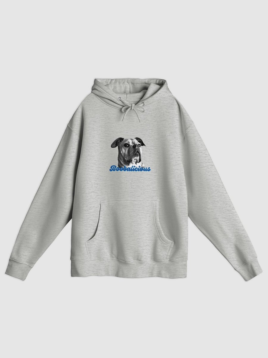 Boobalicious Premium Hoodie product image (6)