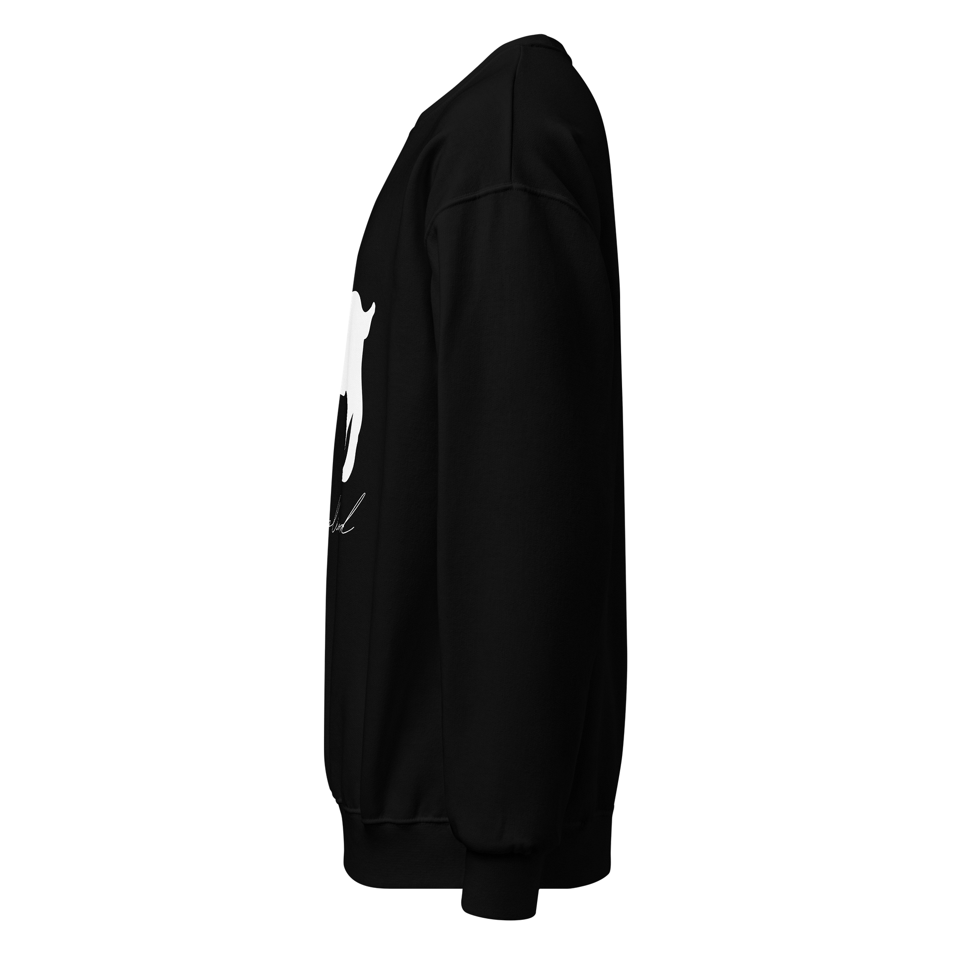 Disciplined Goat Crewneck Sweater product image (5)