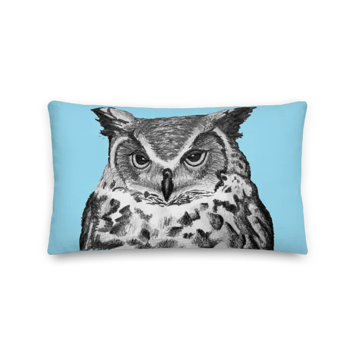 Goat and Owl Close-ups pillow product image (5)
