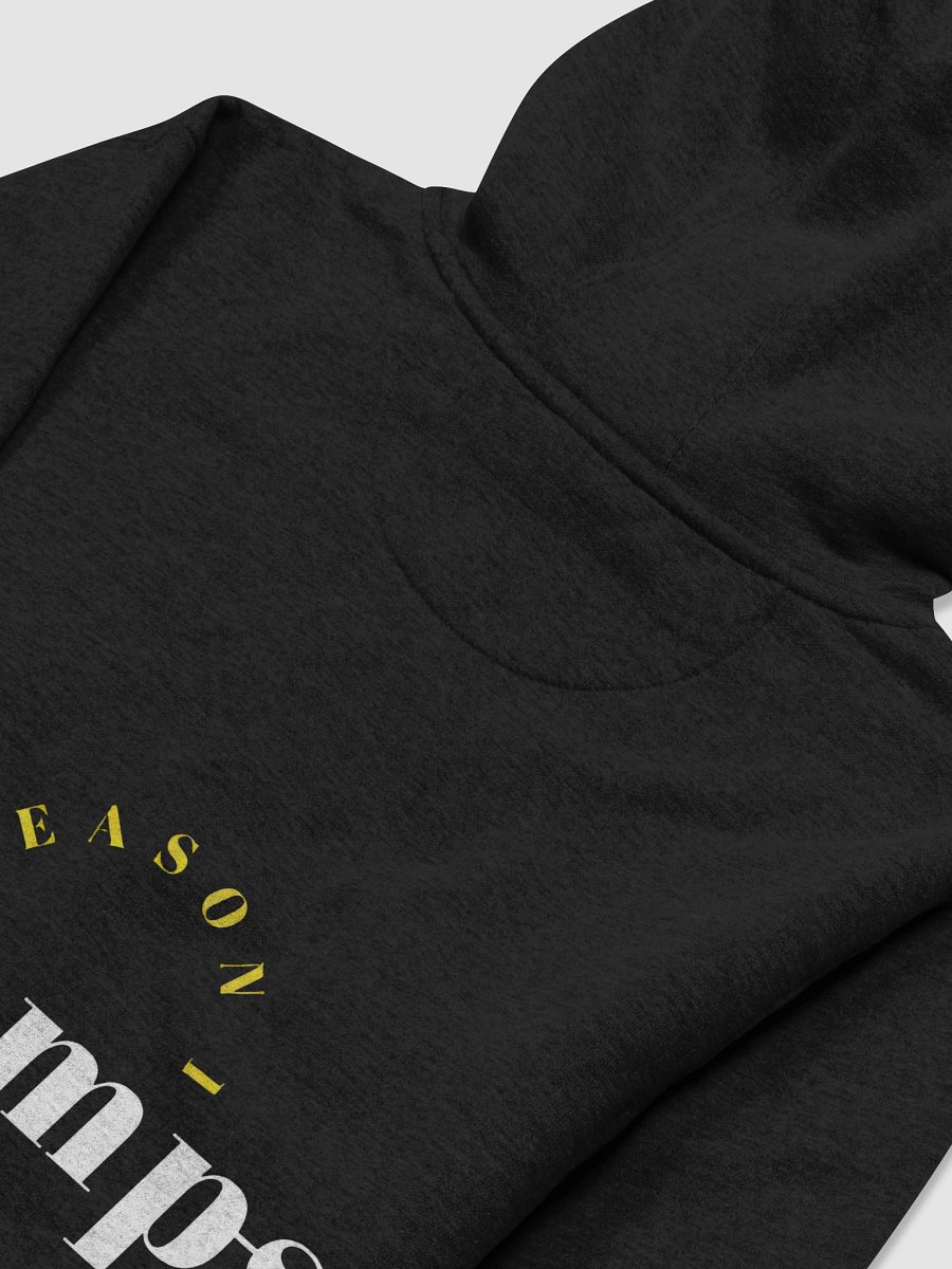 Betas FC Season 1 Winner Hoodie product image (4)