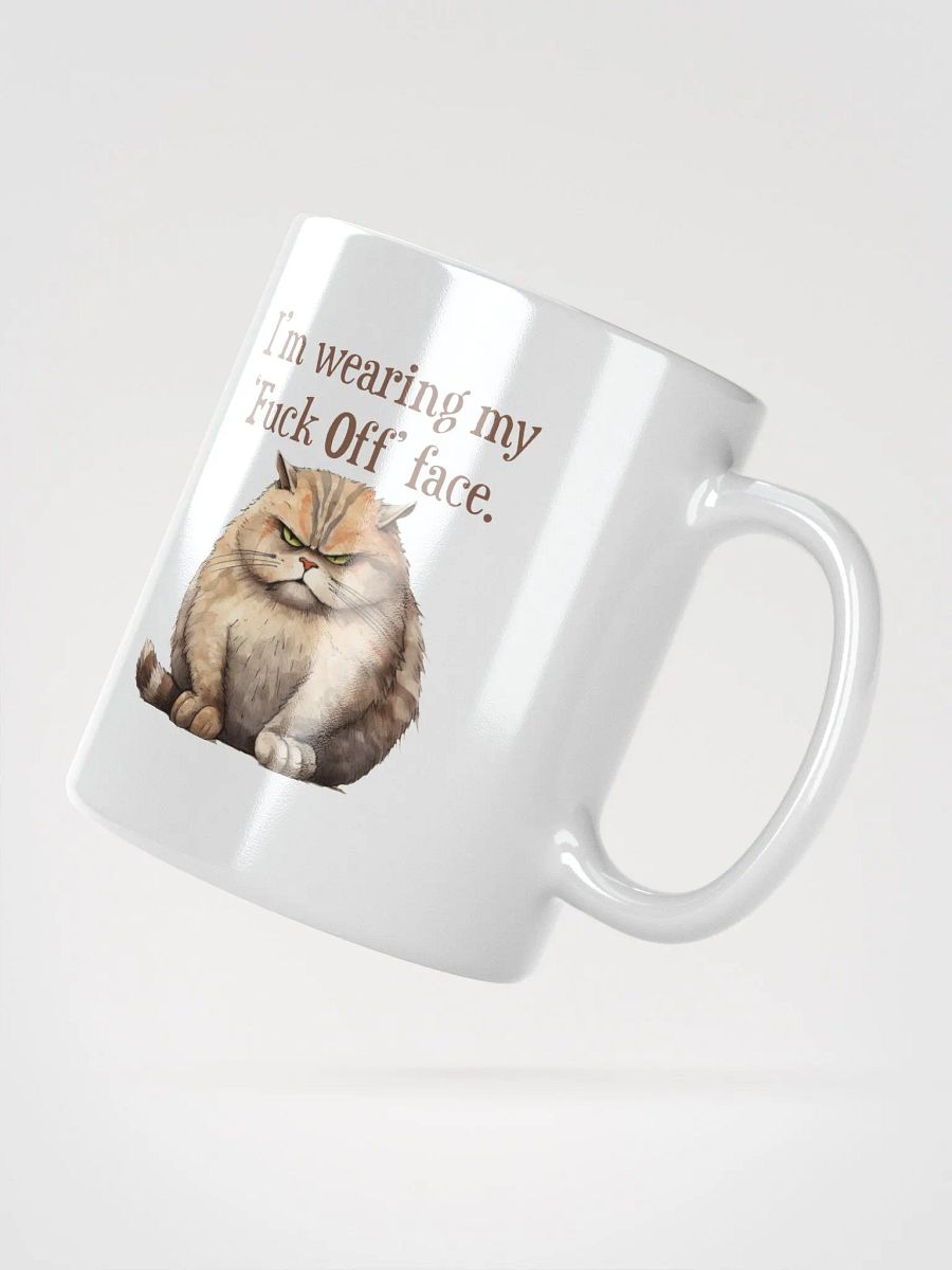 Cat Chat: "Guess what I'm wearing today? ... I'm wearing my Fuck Off face." White glossy mug product image (3)