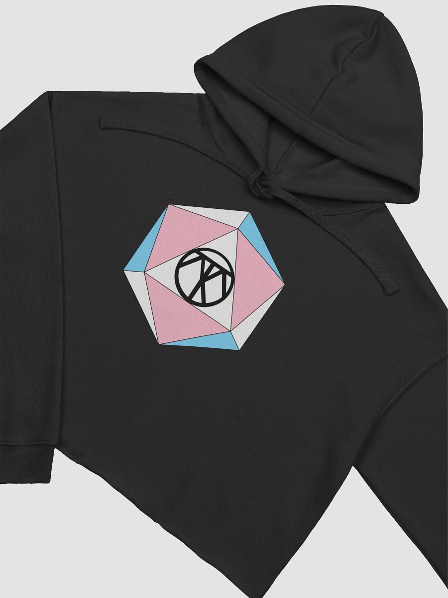ThatoneTransD20 Crop Top product image (12)