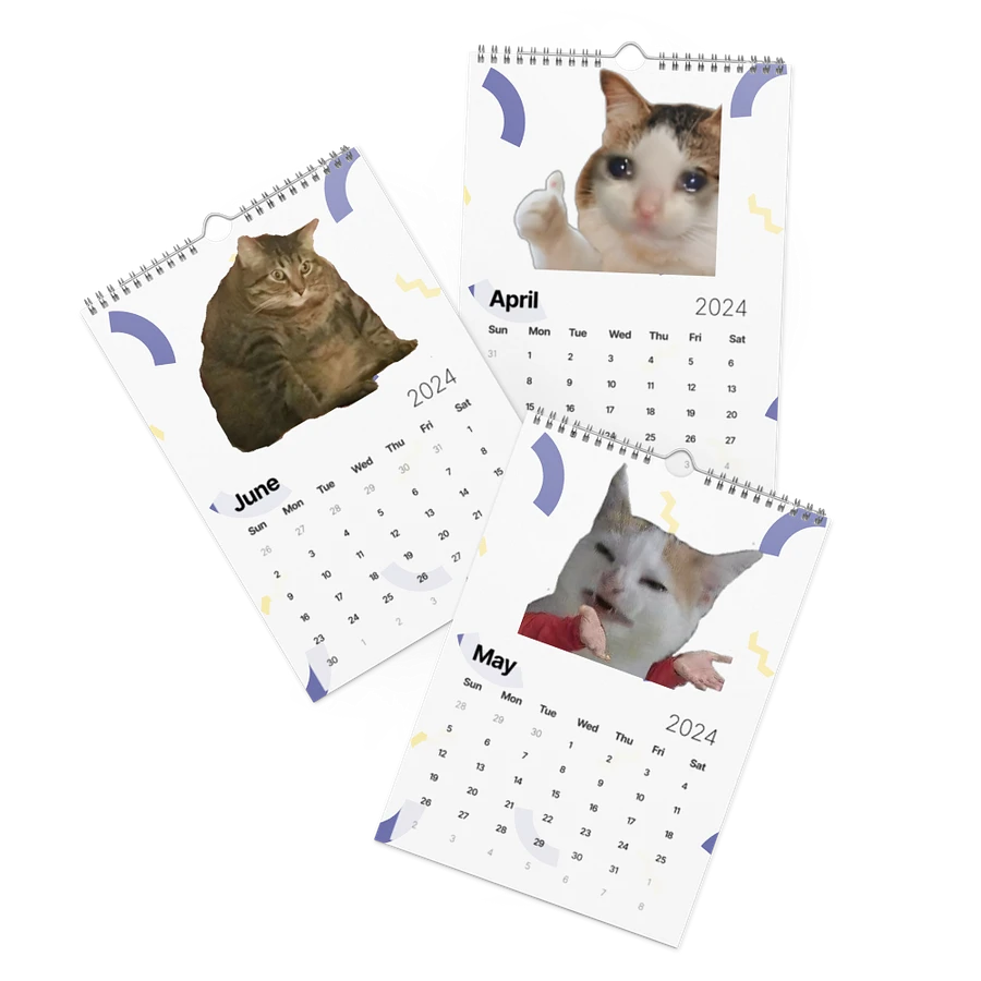 Wall Calendar (2024): Meme Cats product image (3)