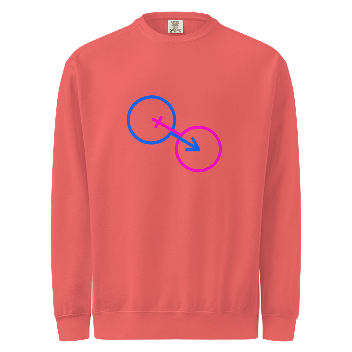 Two Natural Gender Symbols Unisex Sweatshirt product image (1)