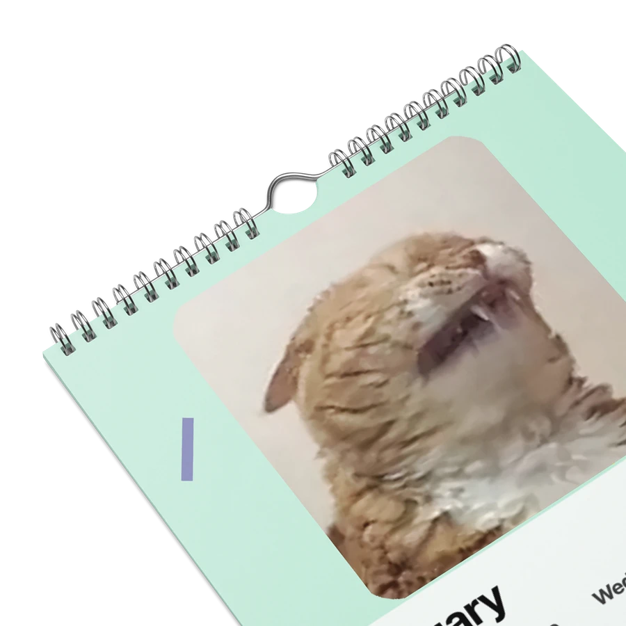 Wall Calendar (2024): Meme Cats product image (9)