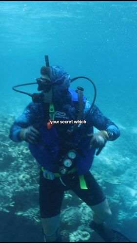 Dive pros : tell me your secrets! 🤿 

Favourite and least favourite courses to teach (@paditv and other agencies)

I find a l...