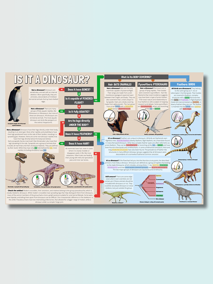 The Time Traveler's Guide To Dinosaur Identification product image (1)