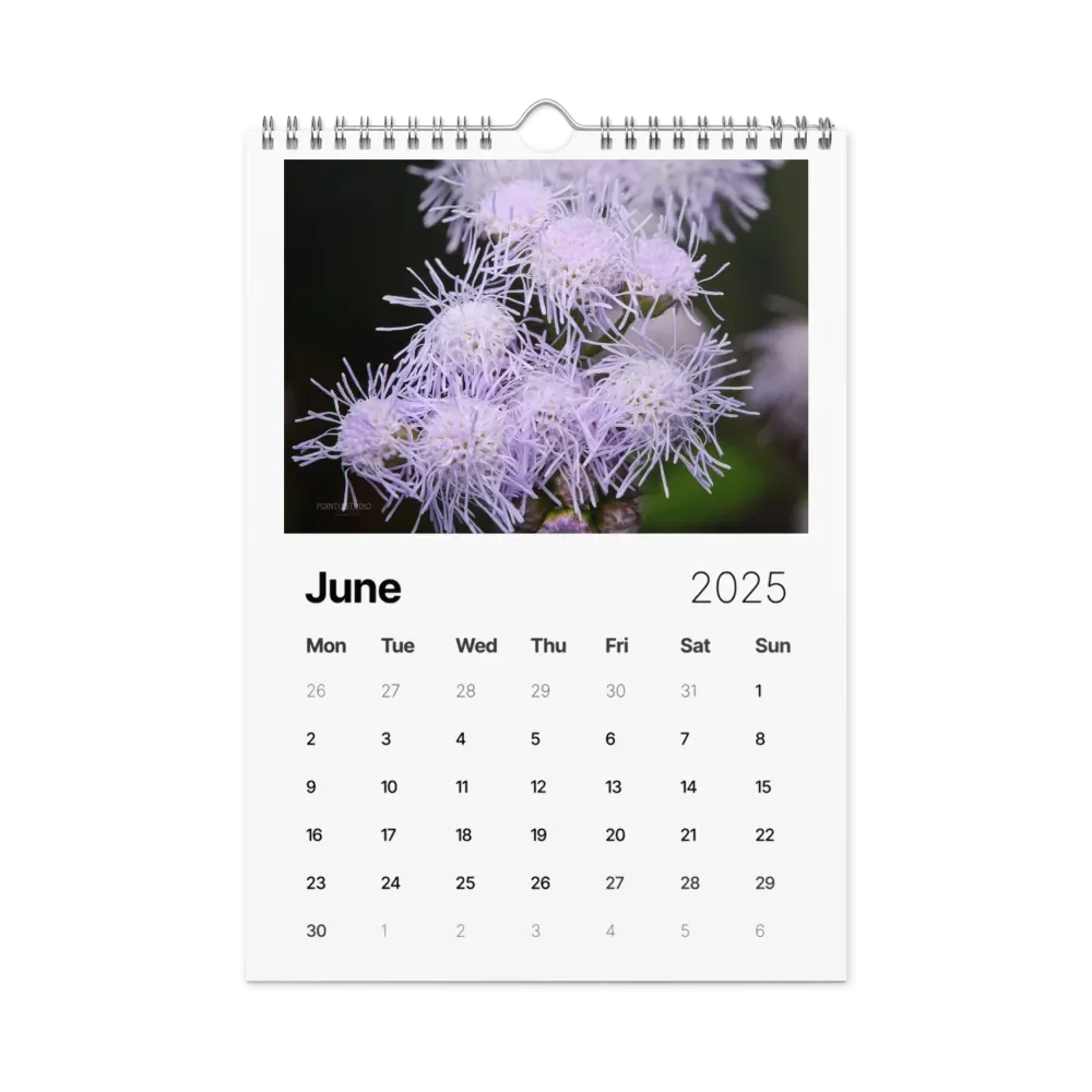 Pure Colors 2025 Wall Calendar product image (7)