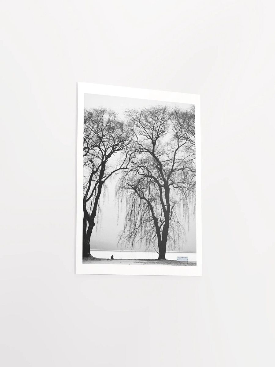 SOLACE IN THE MIST product image (22)