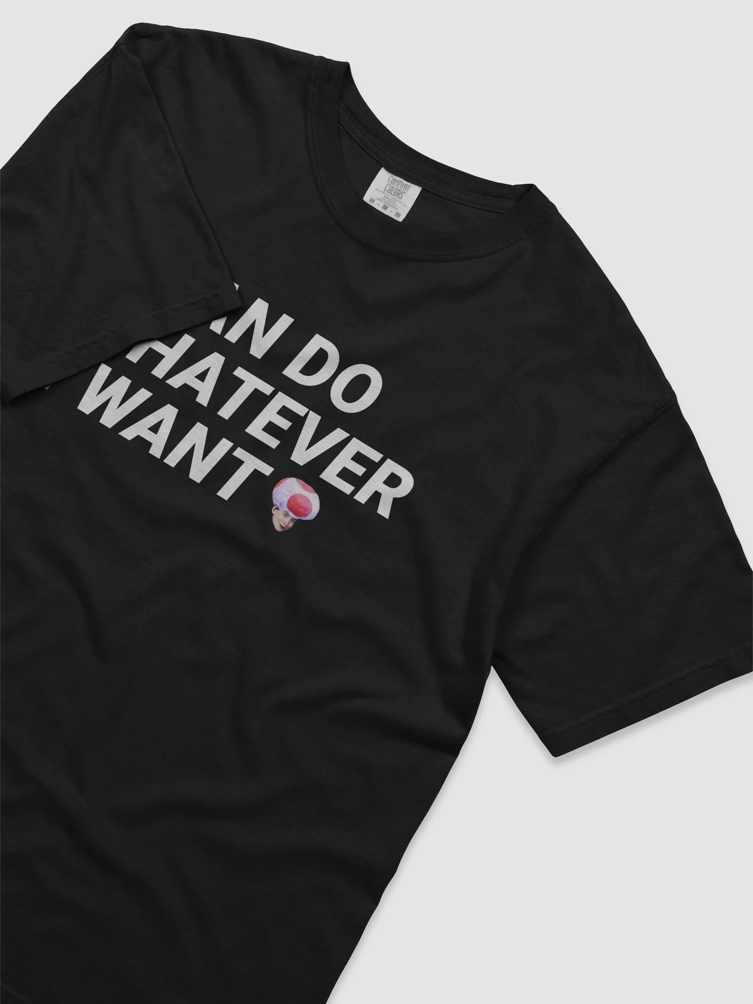 I CAN DO W.E I WANT SHIRT product image (29)