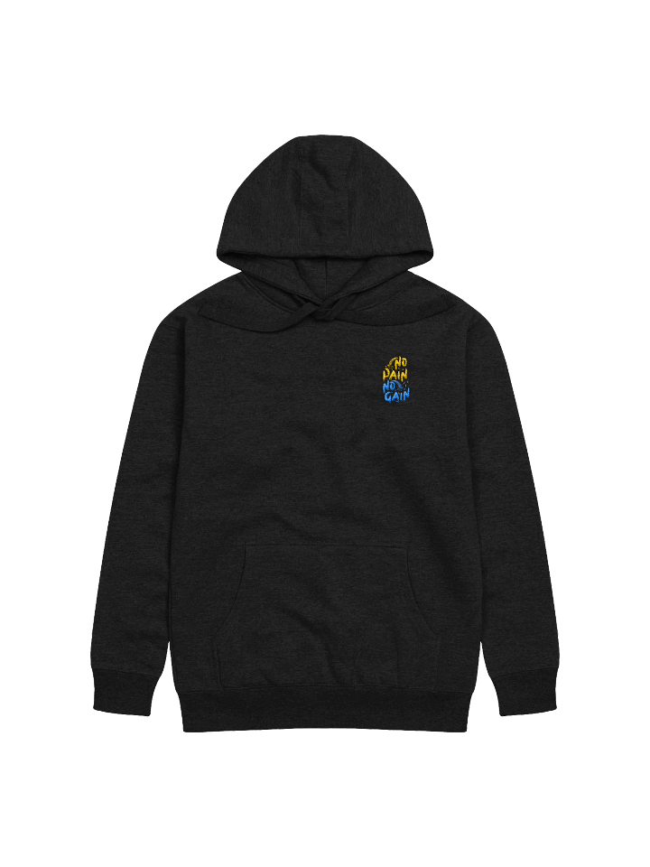 No Pain No Gain! Left Embroidered Hoodie product image (1)