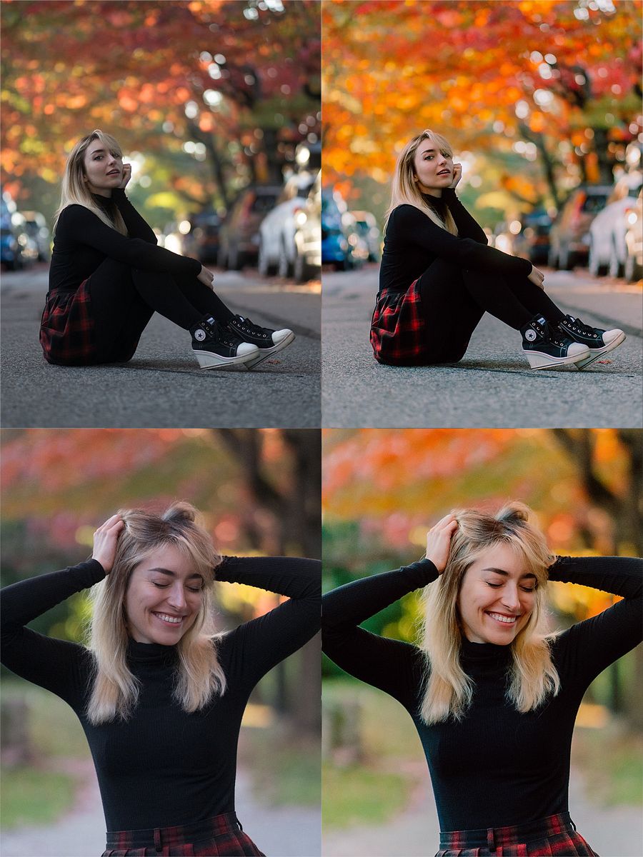 Portrait Presets product image (12)