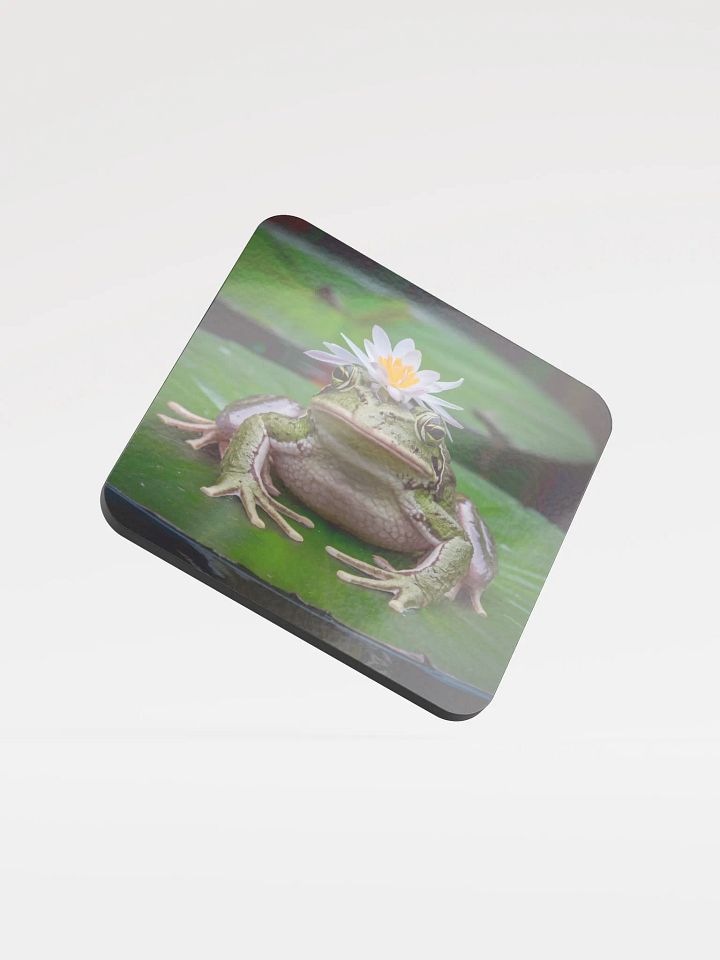 Frog Coaster product image (1)