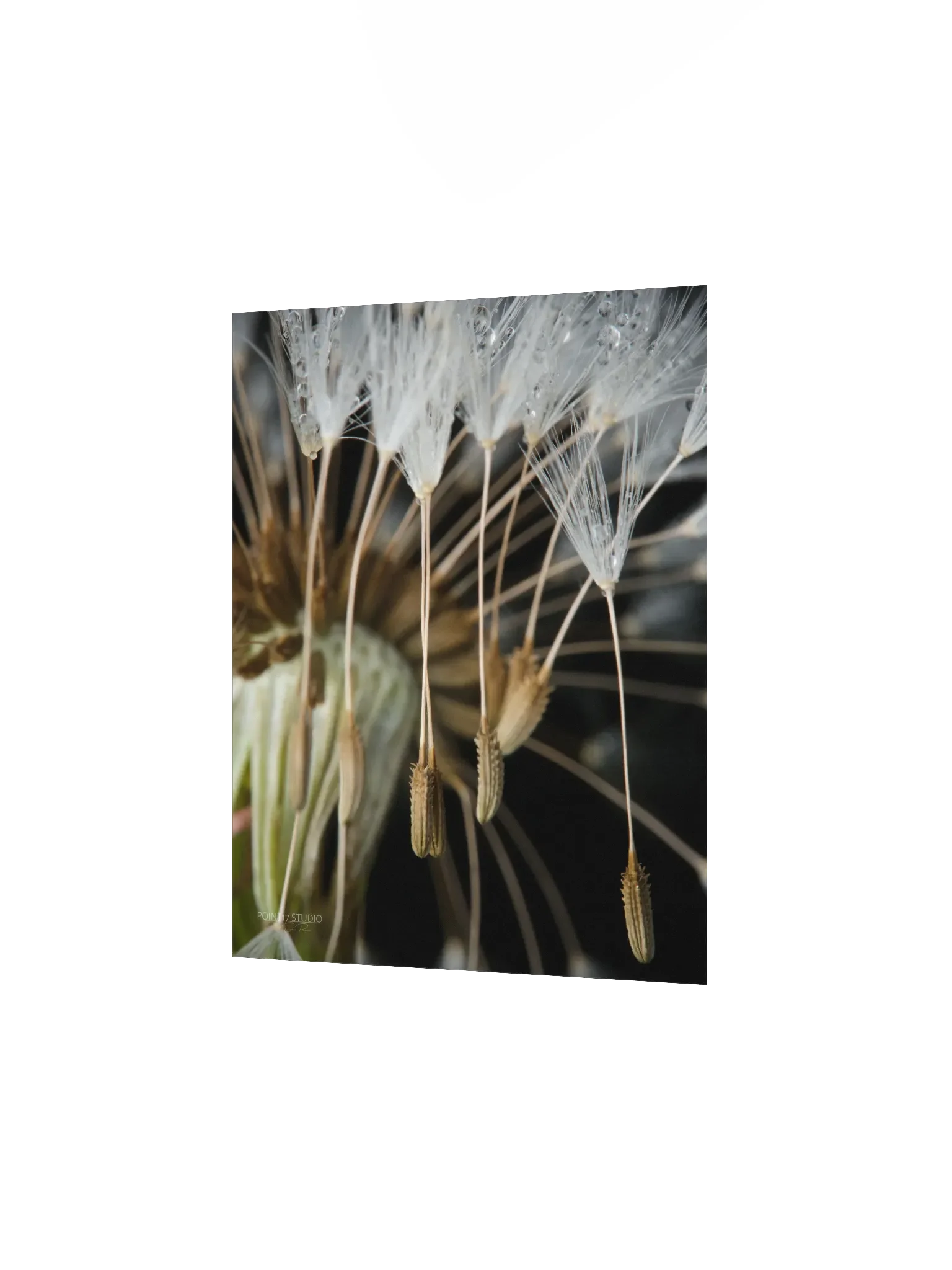 Rapture - Poster product image (4)