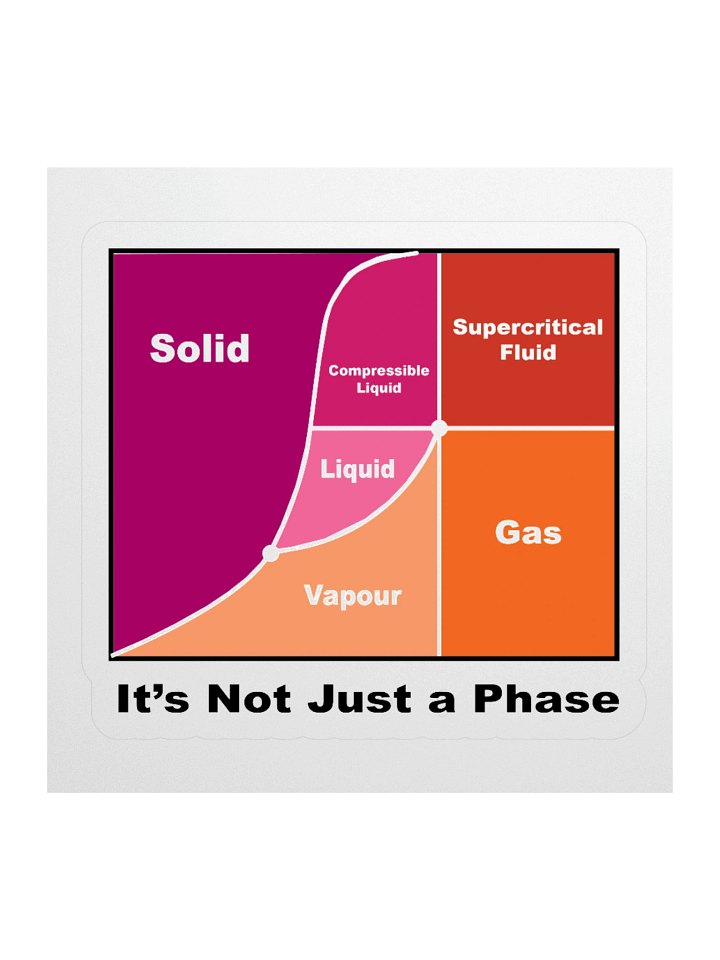 It's Not Just a Phase- Lesbian product image (1)